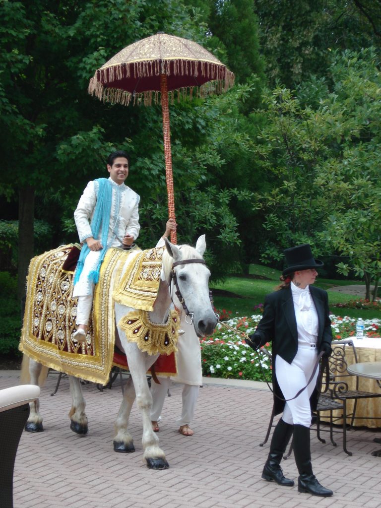 indian-wedding-omni-shoreham-hotel-washington-dc-horse-harmons-carriages