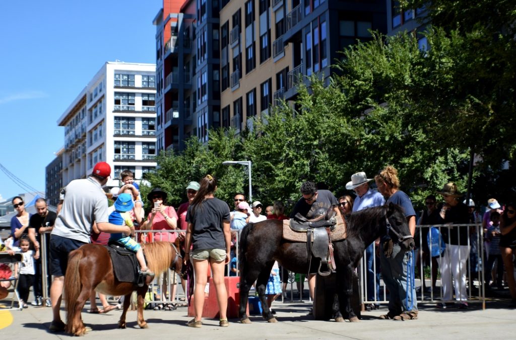 merrifield fall festival 2017 mosaic pony ride