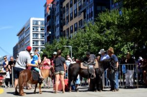 merrifield fall festival 2017 mosaic pony ride