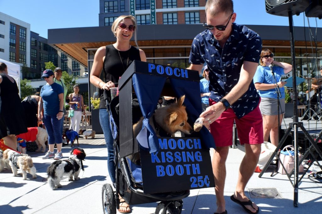 merrifield fall festival 2017 pet costume contest